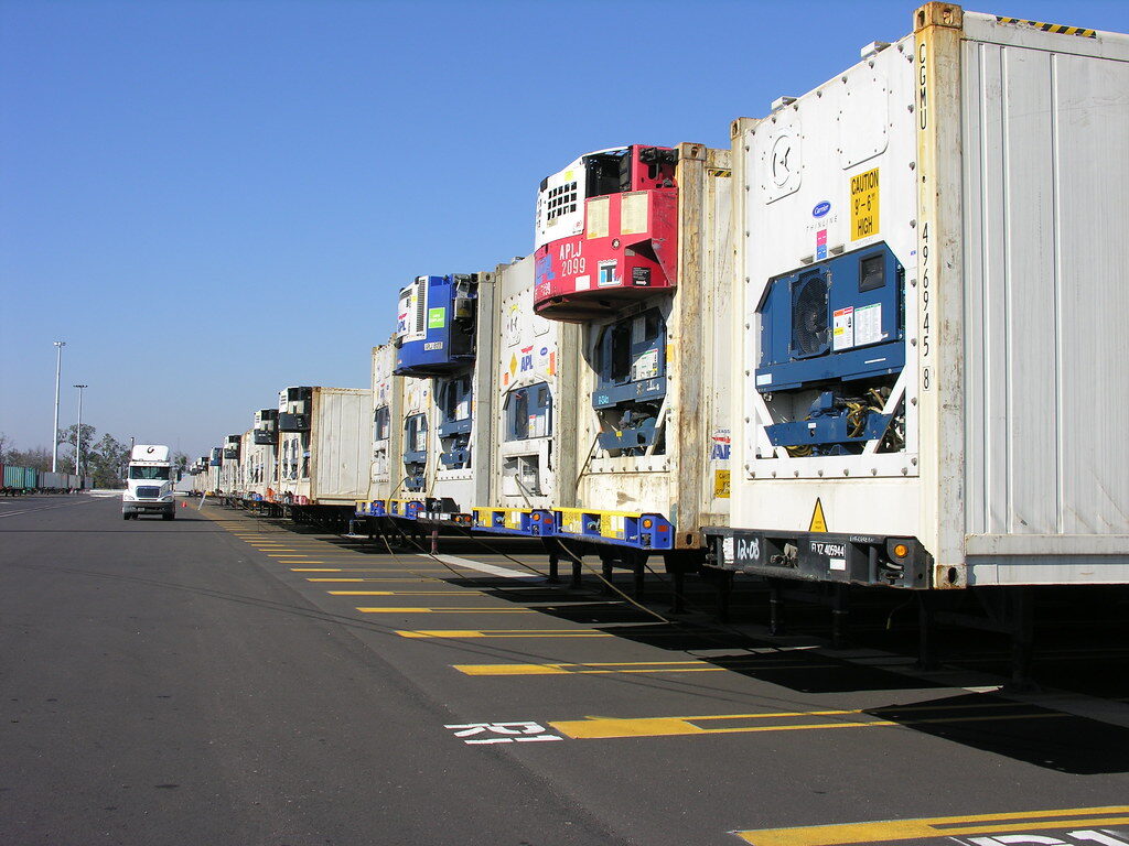 Row of refrigerated reefer containers on chassis at a port yard, cooling units facing the camera